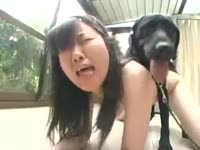 Dog porno fucks bestiality bitch